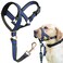 BARKLESS Muzzle Leash for Heavy Pullers No Pull Stylish Head Halter for Small and Medium Aggressive Dogs Gentle Dog Face Harness Stops Pet Pulling and Choking on Walks Adjustable Head Collar