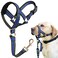 BARKLESS Muzzle Leash for Heavy Pullers No Pull Stylish Head Halter for Small and Medium Aggressive Dogs Gentle Dog Face Harness Stops Pet Pulling and Choking on Walks Adjustable Head Collar