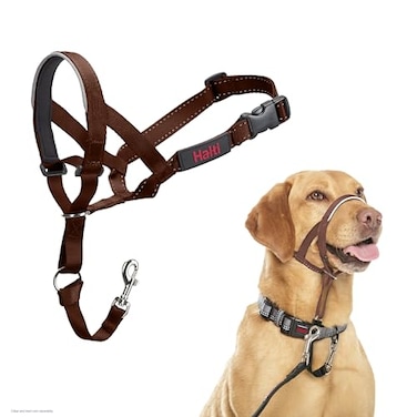 Halti Headcollar Stop Your Dog Pulling on The Leash Adjustable Reflective and Lightweight with Padded Nose Band Dog Training AntiPull Collar for Medium Dogs Size 3 Deep Walnut