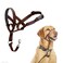 Halti Headcollar Stop Your Dog Pulling on The Leash Adjustable Reflective and Lightweight with Padded Nose Band Dog Training AntiPull Collar for Medium Dogs Size 3 Deep Walnut