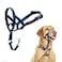 Halti Headcollar Stop Your Dog Pulling on the Leash Adjustable Reflective and Lightweight with Padded Nose Band Dog Training AntiPull Collar for Medium Dogs Size 3 Cobalt Blue