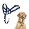 Halti Headcollar Stop Your Dog Pulling on the Leash Adjustable Reflective and Lightweight with Padded Nose Band Dog Training AntiPull Collar for Medium Dogs Size 3 Cobalt Blue