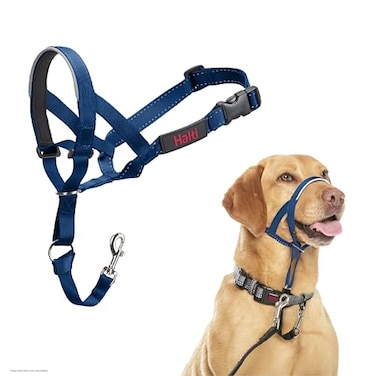 Halti Headcollar Stop Your Dog Pulling on the Leash Adjustable Reflective and Lightweight with Padded Nose Band Dog Training AntiPull Collar for Medium Dogs Size 3 Cobalt Blue