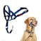 Halti Headcollar Stop Your Dog Pulling on the Leash Adjustable Reflective and Lightweight with Padded Nose Band Dog Training AntiPull Collar for Medium Dogs Size 3 Cobalt Blue