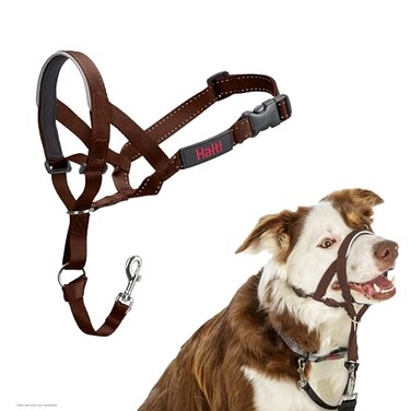 Halti Headcollar Stop Your Dog Pulling on The Leash Adjustable Reflective and Lightweight with Padded Nose Band Dog Training AntiPull Collar for Medium Dogs Size 2 Deep Walnut