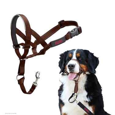 Halti Headcollar Stop Your Dog Pulling on the Leash Adjustable Reflective and Lightweight with Padded Nose Band Dog Training AntiPull Collar for Large Dogs Size 4 Deep Walnut