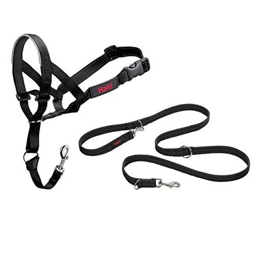 Halti Headcollar Size 4 Black Halti Training Leash Size Large Black Combination Pack Stop Your Dog Pulling on the Leash Adjustable Lightweight with Padded Nose Band Suitable for Large Dogs