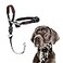 Halti Optifit Headcollar Stop Your Dog Pulling on the Leash Adjustable Reflective and Lightweight with Padded Nose Band Dog Training AntiPull Collar for Large Dogs Size Large