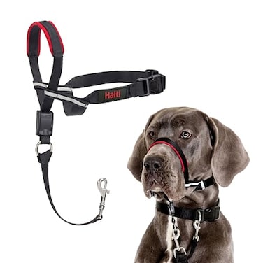 Halti Optifit Headcollar Stop Your Dog Pulling on the Leash Adjustable Reflective and Lightweight with Padded Nose Band Dog Training AntiPull Collar for Large Dogs Size Large