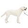 PetSafe Gentle Leader NoPull Dog Headcollar The Ultimate Solution to Pulling Redirects Your Dogs Pulling for Easier Walks Helps You Regain Control Large Silver