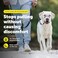 PetSafe Gentle Leader NoPull Dog Headcollar The Ultimate Solution to Pulling Redirects Your Dogs Pulling for Easier Walks Helps You Regain Control Large Silver