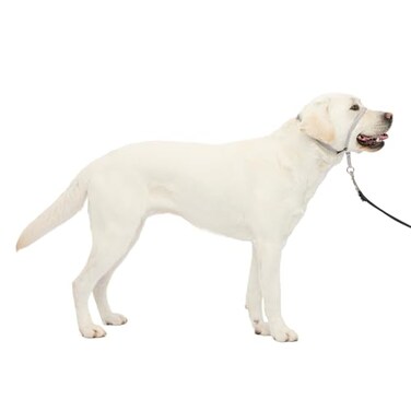 PetSafe Gentle Leader NoPull Dog Headcollar The Ultimate Solution to Pulling Redirects Your Dogs Pulling for Easier Walks Helps You Regain Control Large Silver
