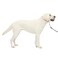 PetSafe Gentle Leader NoPull Dog Headcollar The Ultimate Solution to Pulling Redirects Your Dogs Pulling for Easier Walks Helps You Regain Control Large Silver