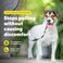 PetSafe Gentle Leader NoPull Dog Headcollar The Ultimate Solution to Pulling Redirects Your Dogs Pulling for Easier Walks Helps You Regain Control Small Silver