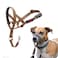 Halti Headcollar Stop Your Dog Pulling on The Leash Adjustable Reflective and Lightweight with Padded Nose Band Dog Training AntiPull Collar for Small Dogs Size 1 Desert Sand
