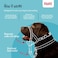Halti Headcollar Stop Your Dog Pulling on The Leash Adjustable Reflective and Lightweight with Padded Nose Band Dog Training AntiPull Collar for Small Dogs Size 1 Desert Sand