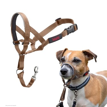 Halti Headcollar Stop Your Dog Pulling on The Leash Adjustable Reflective and Lightweight with Padded Nose Band Dog Training AntiPull Collar for Small Dogs Size 1 Desert Sand