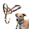 Halti Headcollar Stop Your Dog Pulling on The Leash Adjustable Reflective and Lightweight with Padded Nose Band Dog Training AntiPull Collar for Small Dogs Size 1 Desert Sand
