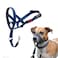 Halti Headcollar Stop Your Dog Pulling on the Leash Adjustable Reflective and Lightweight with Padded Nose Band Dog Training AntiPull Collar for Small Dogs Size 1 Cobalt Blue