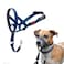 Halti Headcollar Stop Your Dog Pulling on the Leash Adjustable Reflective and Lightweight with Padded Nose Band Dog Training AntiPull Collar for Small Dogs Size 1 Cobalt Blue