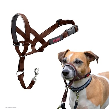 Halti Headcollar Stop Your Dog Pulling on the Leash Adjustable Reflective and Lightweight with Padded Nose Band Dog Training AntiPull Collar for Small Dogs Size 1 Deep Walnut