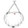 Herm Sprenger Sprenger Stainless Steel Pinch Prong Collar 225mm Small by