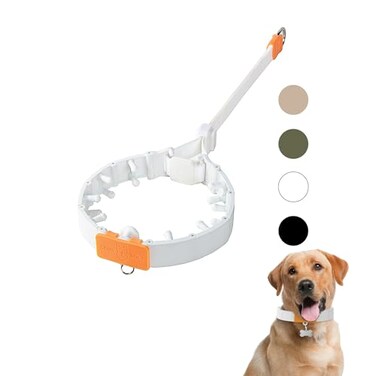 SVD.PET SVDPET Dog Prong Collar for NoPull Training QuickRelease Buckle Adjustable Pinch Collar for Large Dogs White Large Size