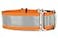 If It Barks 15 Reflective Martingale Collar for Dogs Adjustable Made in USA Strong Durable and Comfy Ideal for Training Suitable for Most Breeds Medium Orange