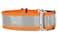 If It Barks 15 Reflective Martingale Collar for Dogs Adjustable Made in USA Strong Durable and Comfy Ideal for Training Suitable for Most Breeds Medium Orange