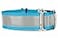 If It Barks 15 Reflective Martingale Collar for Dogs Adjustable Made in USA Strong Durable and Comfy Ideal for Training Suitable for Most Breeds Medium Turquoise