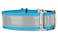 If It Barks 15 Reflective Martingale Collar for Dogs Adjustable Made in USA Strong Durable and Comfy Ideal for Training Suitable for Most Breeds Medium Turquoise