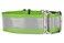 If It Barks 15 Reflective Martingale Collar for Dogs Adjustable Made in USA Strong Durable and Comfy Ideal for Training Suitable for Most Breeds Medium Apple Green
