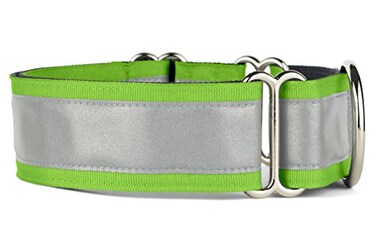 If It Barks 15 Reflective Martingale Collar for Dogs Adjustable Made in USA Strong Durable and Comfy Ideal for Training Suitable for Most Breeds Medium Apple Green