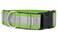If It Barks 15 Reflective Martingale Collar with Quick Snap Buckle for Dogs Adjustable Made in USA Strong Durable and Comfy Ideal for Training Fits Most Breeds Small Apple Green