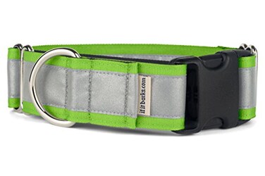 If It Barks 15 Reflective Martingale Collar with Quick Snap Buckle for Dogs Adjustable Made in USA Strong Durable and Comfy Ideal for Training Fits Most Breeds Small Apple Green