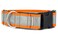 If It Barks 15 Reflective Martingale Collar with Quick Snap Buckle for Dogs Adjustable Made in USA Strong Durable and Comfy Ideal for Training Fits Most Breeds Medium Orange