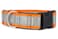 If It Barks 15 Reflective Martingale Collar with Quick Snap Buckle for Dogs Adjustable Made in USA Strong Durable and Comfy Ideal for Training Fits Most Breeds Small Orange