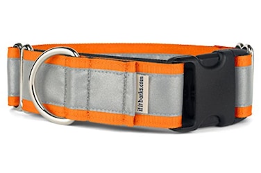 If It Barks 15 Reflective Martingale Collar with Quick Snap Buckle for Dogs Adjustable Made in USA Strong Durable and Comfy Ideal for Training Fits Most Breeds Small Orange
