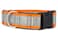 If It Barks 15 Reflective Martingale Collar with Quick Snap Buckle for Dogs Adjustable Made in USA Strong Durable and Comfy Ideal for Training Fits Most Breeds Small Orange