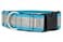 If It Barks 15 Reflective Martingale Collar with Quick Snap Buckle for Dogs Adjustable Made in USA Strong Durable and Comfy Ideal for Training Fits Most Breeds Large Turquoise