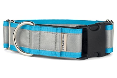 If It Barks 15 Reflective Martingale Collar with Quick Snap Buckle for Dogs Adjustable Made in USA Strong Durable and Comfy Ideal for Training Fits Most Breeds Large Turquoise
