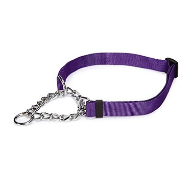 Guardian Gear Adjustable Martingale ChokeStyle Dog Collar Purple 1624 Inch