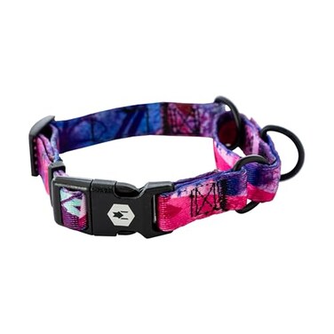 Wolfgang ManBeast Wolfgang Heavy Duty Martingale Dog Collar with Quick Release Nylon Buckle for Walking Training Daydream Print Small