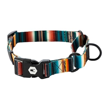 Wolfgang ManBeast Wolfgang Heavy Duty Martingale Dog Collar with Quick Release Nylon Buckle for Walking Training LostArt Print Medium