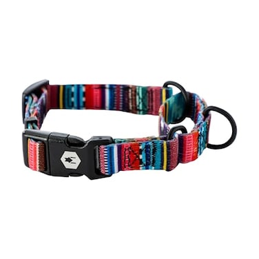 Wolfgang ManBeast Wolfgang Heavy Duty Martingale Dog Collar with Quick Release Nylon Buckle for Walking Training Quetzal Print Large