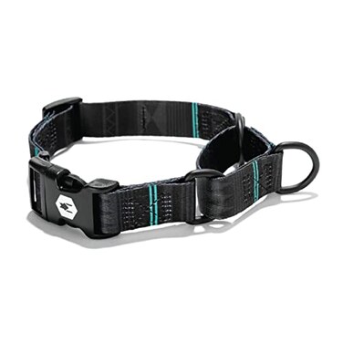 Wolfgang ManBeast Wolfgang Heavy Duty Martingale Dog Collar with Quick Release Nylon Buckle for Walking Training NightOwl Print Extra Large