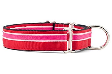 If It Barks 1 Martingale Collar for Dogs Adjustable Nylon USA Made Small Shortcake