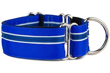 If It Barks 15 Martingale Collar for Dogs Adjustable Nylon Strong and Comfy Ideal for Training Made in USA Medium Blueberry