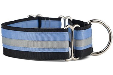 If It Barks 15 Martingale Collar for Dogs Adjustable Nylon Strong and Comfy Ideal for Training Made in USA Small Blueberry