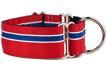 If It Barks 15 Martingale Collar for Dogs Adjustable Nylon Strong and Comfy Ideal for Training Made in USA Medium Patriotic